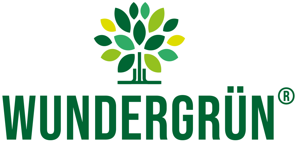 Zur Startseite gehen