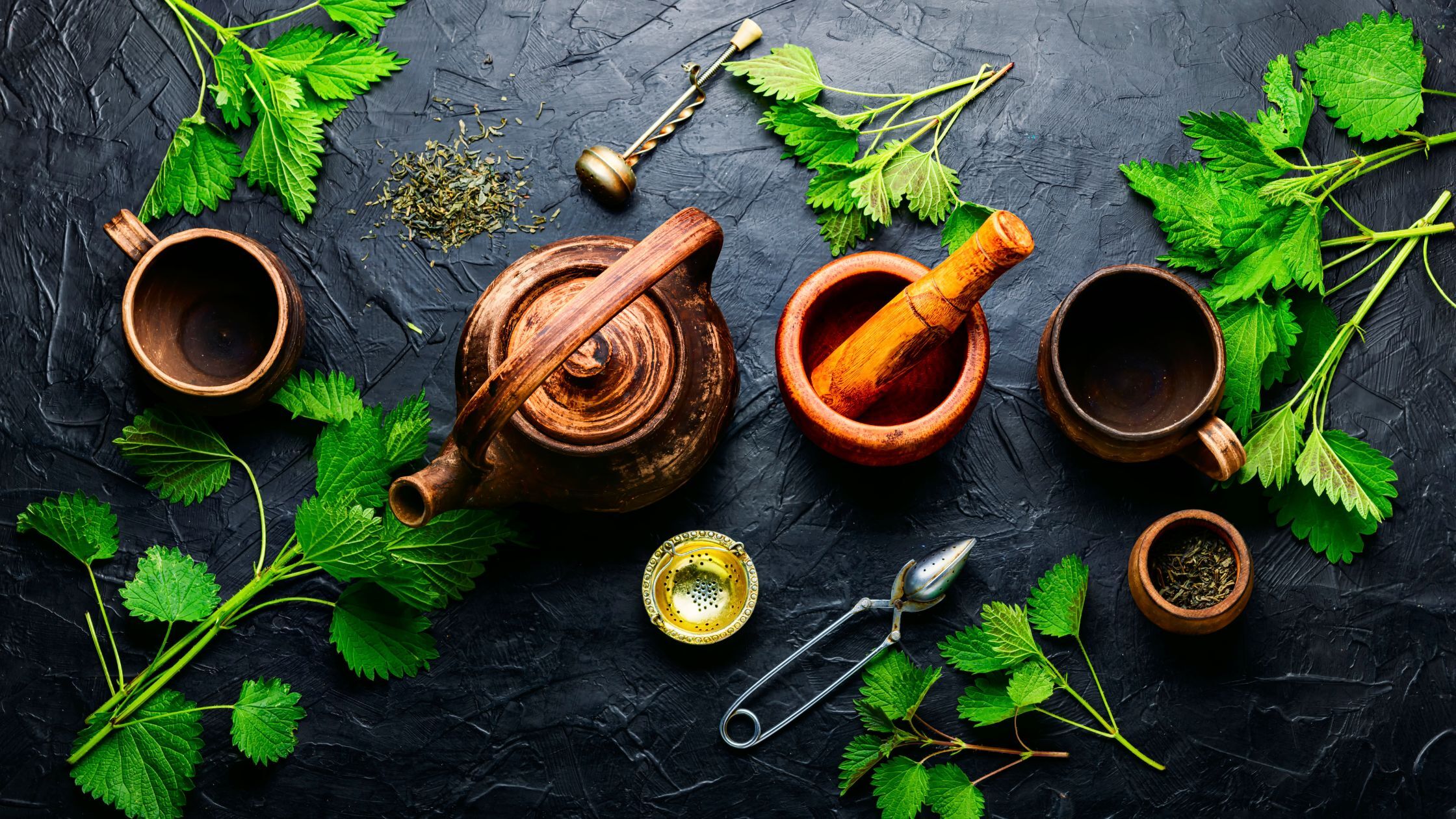 Ayurveda – MEHR als nur die Heilkunst aus Indien Ayurveda – MEHR als nur die Heilkunst aus Indien